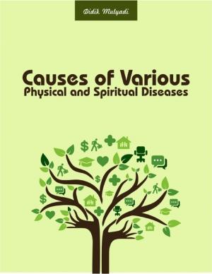 Cover of the book Causes of Various Physical and Spiritual Diseases by Robert Stetson