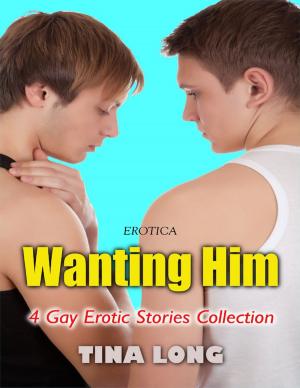 Book cover of Erotica: Wanting Him, 4 Gay Erotic Stories Collection