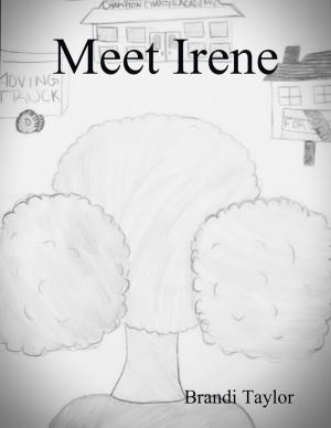 bigCover of the book Meet Irene by 
