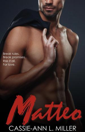 Cover of the book Matteo by M.R. Everette