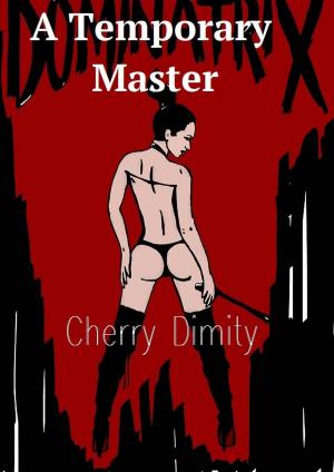 Book cover of A Temporary Master