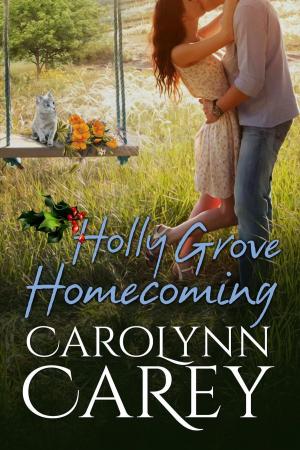 Book cover of Holly Grove Homecoming