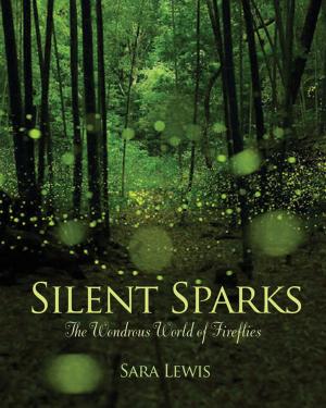 bigCover of the book Silent Sparks by 