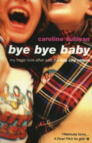 Cover of the book Bye Bye Baby by Mr David Brewer