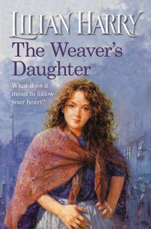 Cover of the book The Weaver's Daughter by Mickey Zucker Reichert