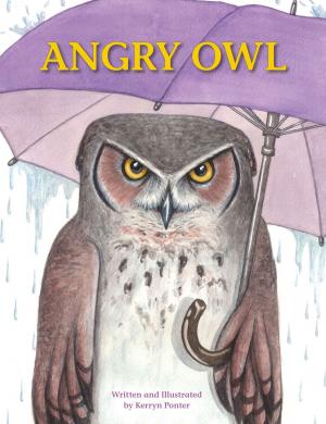 Book cover of Angry Owl