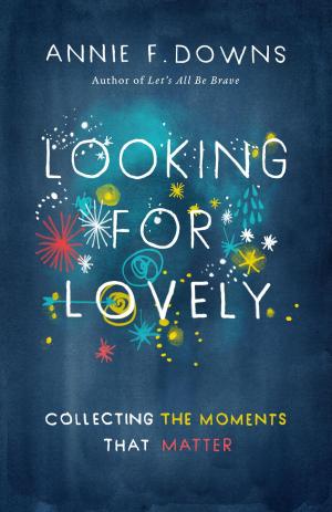 Cover of the book Looking for Lovely by Philippe Gabilliet