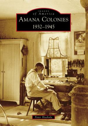 Cover of the book Amana Colonies by Pat Jollota