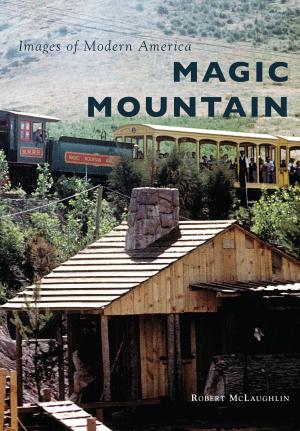 bigCover of the book Magic Mountain by 