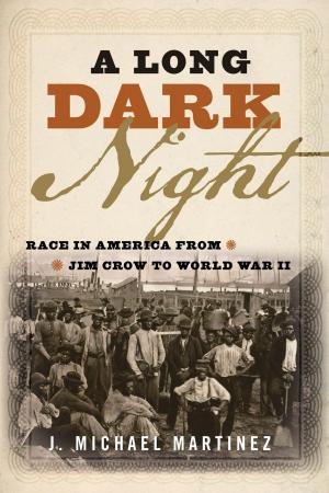 Cover of the book A Long Dark Night by Susan M. Behuniak, Arthur G. Svenson