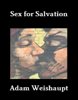 Cover of the book Sex for Salvation by Michael Cimicata
