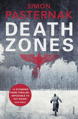 Cover of the book Death Zones by Vincent Zandri