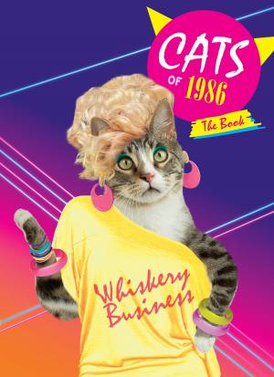 Cover of the book Cats of 1986: The Book by Barbara Hodgson