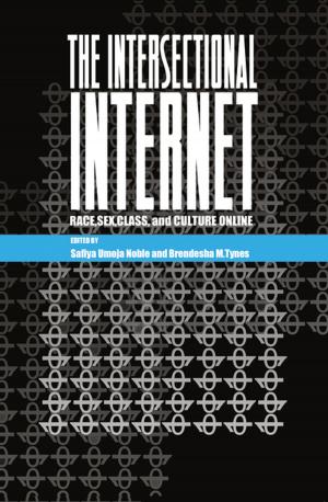 Cover of the book The Intersectional Internet by Rahman Haghighat