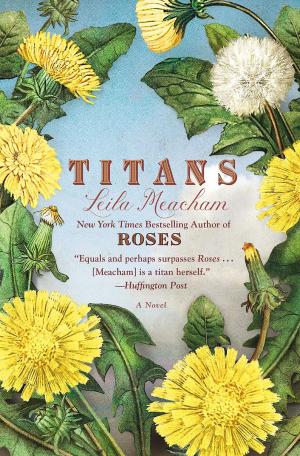 Cover of the book Titans by Lynne Silver