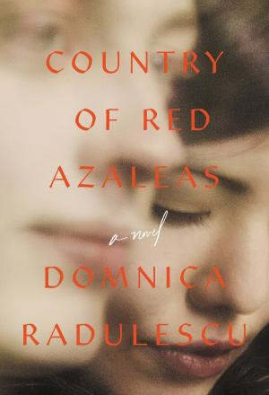 Cover of the book Country of Red Azaleas by David Baldacci