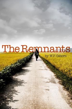 Cover of the book The Remnants by Laurence E. 'Larry' Lipsher