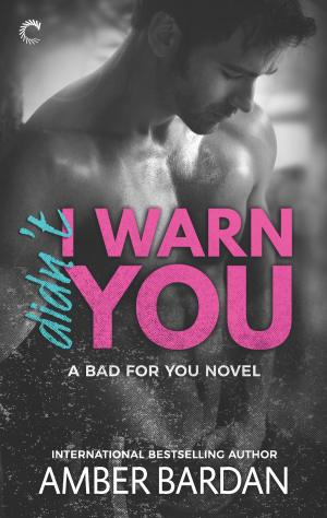 Cover of the book Didn't I Warn You by Morgaine Cameron, Amber Bardan, Amanda Stewart