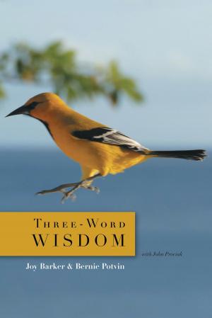Cover of the book Three-Word Wisdom by J Todd Ferrier