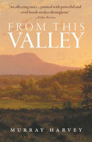 Cover of the book From This Valley by Dr.  Joe Currier