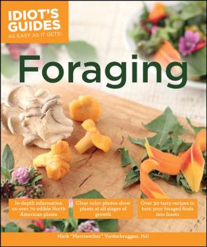 Cover of the book Foraging by Tori Kosara
