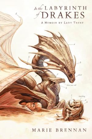 Cover of the book In the Labyrinth of Drakes by Kent Wright, Don Keith