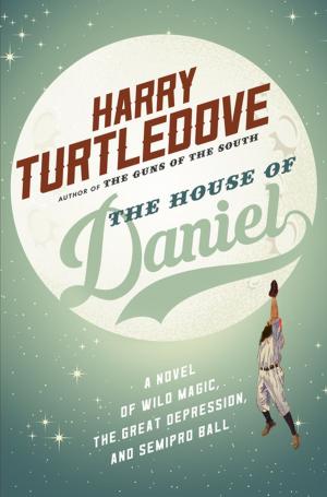 Cover of the book The House of Daniel by Juilene Osborne-McKnight