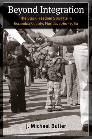 Cover of the book Beyond Integration by Nell Wise Wechter
