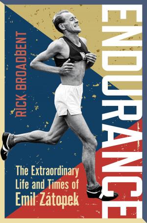 Cover of the book Endurance by Eugenio Aguirre, Francisco Martín Moreno, Alejandro Rosas, Benito Taibo