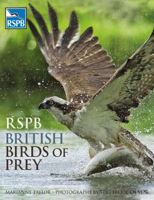 Book cover of RSPB British Birds of Prey