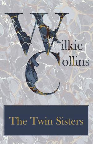 Book cover of The Twin Sisters