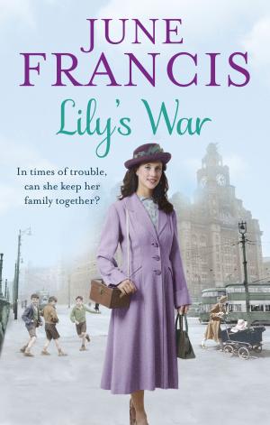Cover of the book Lily's War by Roy Levy, Gail Mejia