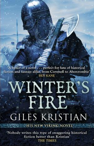 Cover of the book Winter's Fire by Mike Rossiter