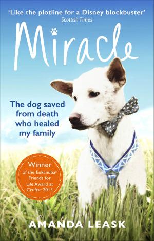 Cover of the book Miracle by Rhiannon Batten