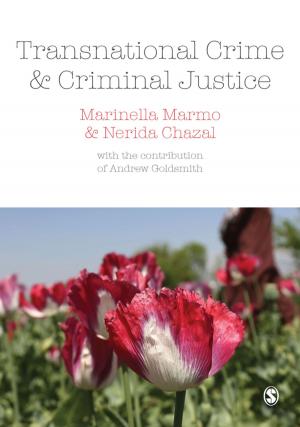 Cover of the book Transnational Crime and Criminal Justice by Lawrence S. Rothenberg, Lawrence S. Rothenberg