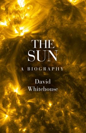 Cover of the book The Sun by Dell Shannon