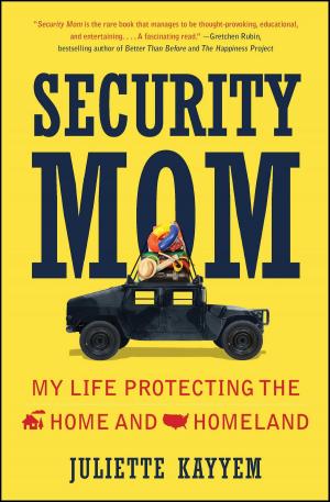 Cover of the book Security Mom by Jonah Lehrer