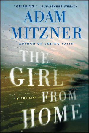 Cover of the book The Girl From Home by Joseph Monninger