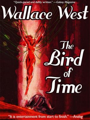 Book cover of The Bird of Time