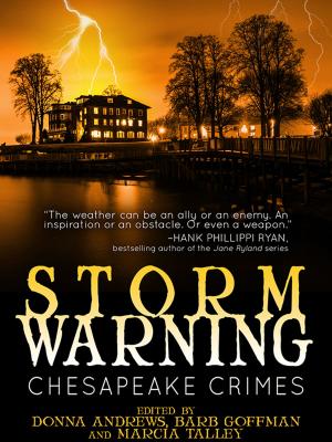 Cover of the book Chesapeake Crimes: Storm Warning by James Hay