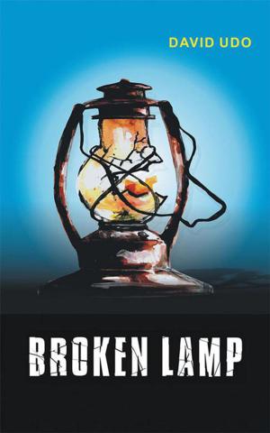 Cover of the book Broken Lamp by Albertus Greeff
