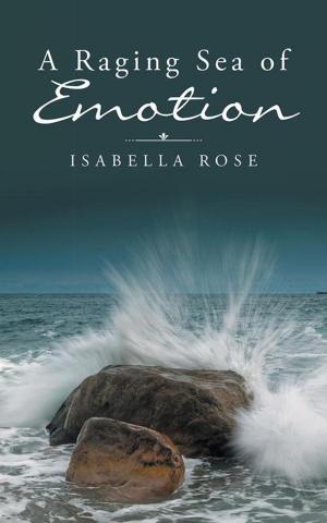 Book cover of A Raging Sea of Emotion