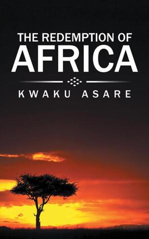 Cover of the book The Redemption of Africa by Daniel van der Merwe