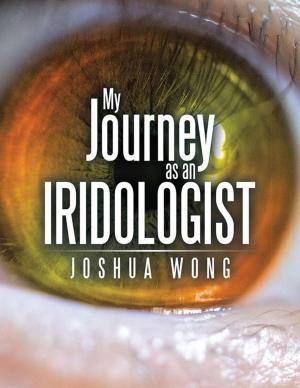 Cover of the book My Journey as an Iridologist by John Idakwoji