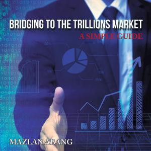Cover of the book Bridging to the Trillions Market by Will Slatyer