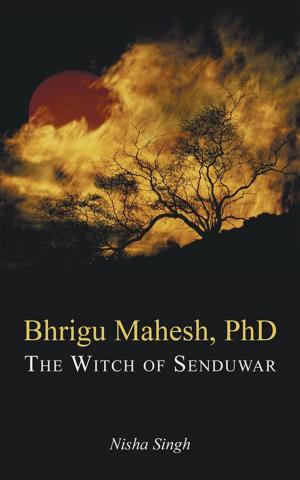 bigCover of the book Bhrigu Mahesh, Phd by 