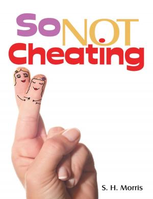 Cover of the book So Not Cheating by Sonique Sailsman