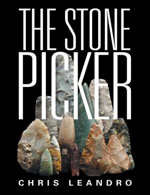 Cover of the book The Stone Picker by Nakia Melecio