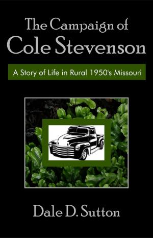 Cover of the book The Campaign of Cole Stevenson by Joey V. Price, MS, PHR