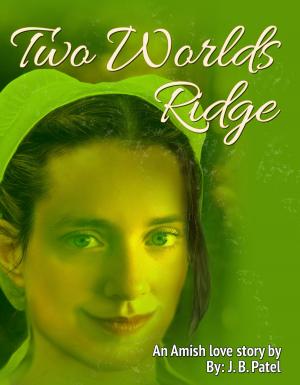 Cover of the book Two World's Ridge by Sandy Milczarek